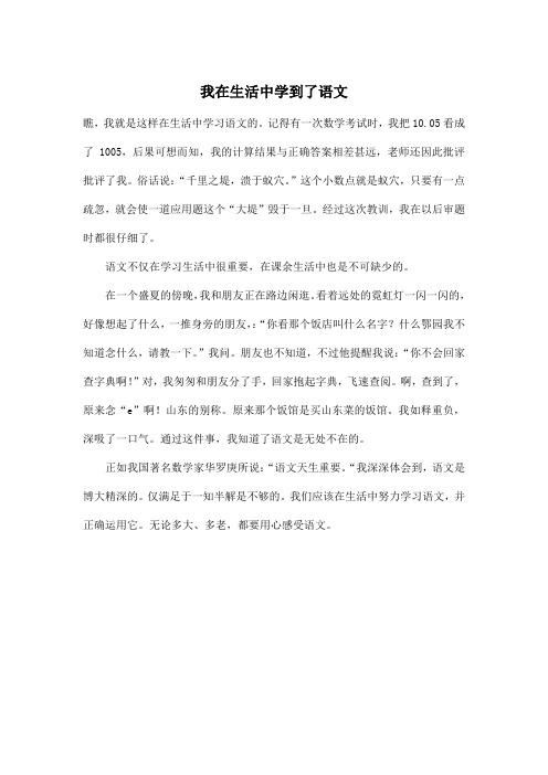 我在生活中学到了语文_初中初一作文400字