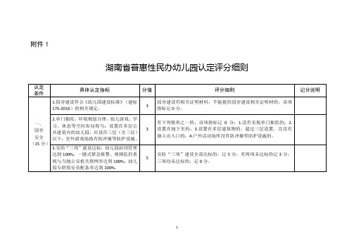 湖南省普惠性民办幼儿园认定评分细则