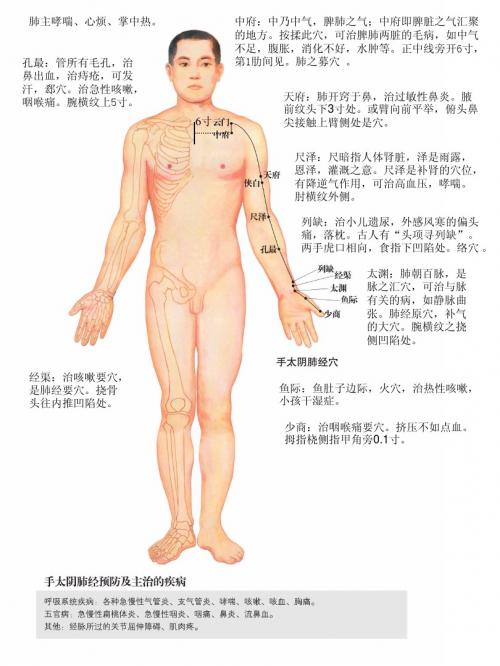 人体经络图