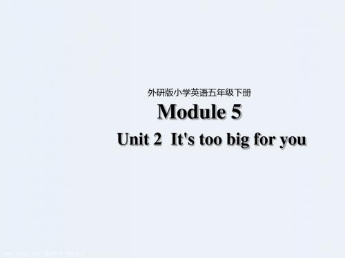 五年级下册英语课件-Module 5 Unit 2 It’s too big for you∣外研版(三起) (共36张PPT)