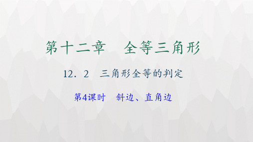 最新人教版八年级数学上册12.2  三角形全等的判定 第4课时 斜边、直角边习题课件