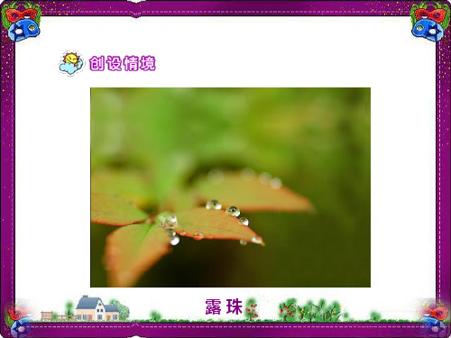 小露珠(一) 公开课一等奖课件
