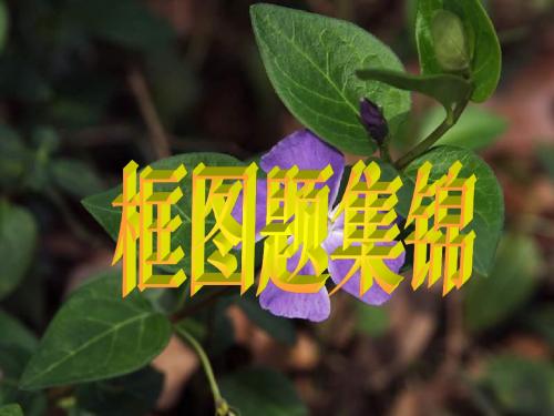 高一化学无机推断及其无机化合物