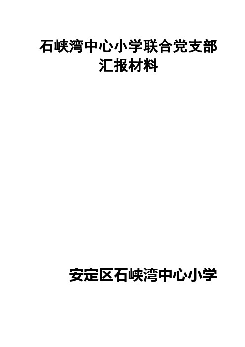 党支部汇报材料