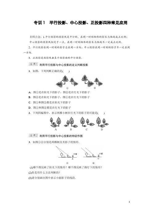 专题训练：平行投影、中心投影、正投影四种常见应用(含答案)