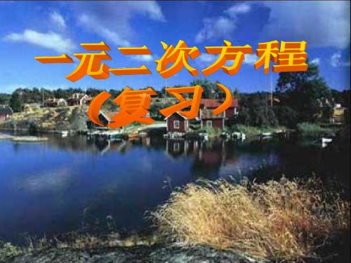 [名校联盟]江苏省太仓市第二中学九年级数学复习课件：一元二次方程复习(1)