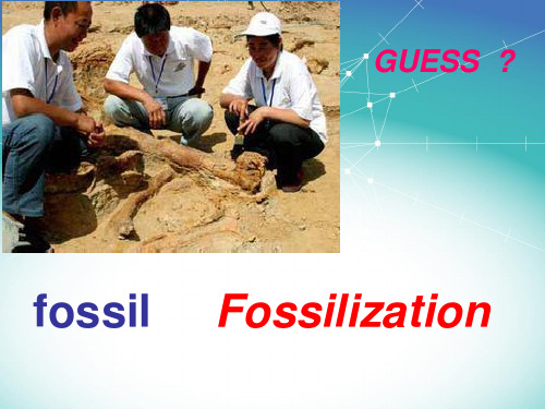 fossilization