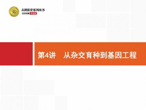 《一轮参考》高优指导2017生物人教版一轮课件：8-4 从杂交育种到基因工程