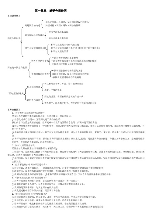 湘教版思想品德九年级全一册期末复习学案(5课时)