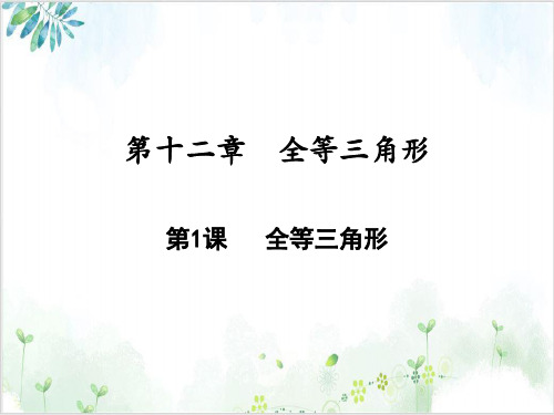 《全等三角形》_PPT完整版人教版3