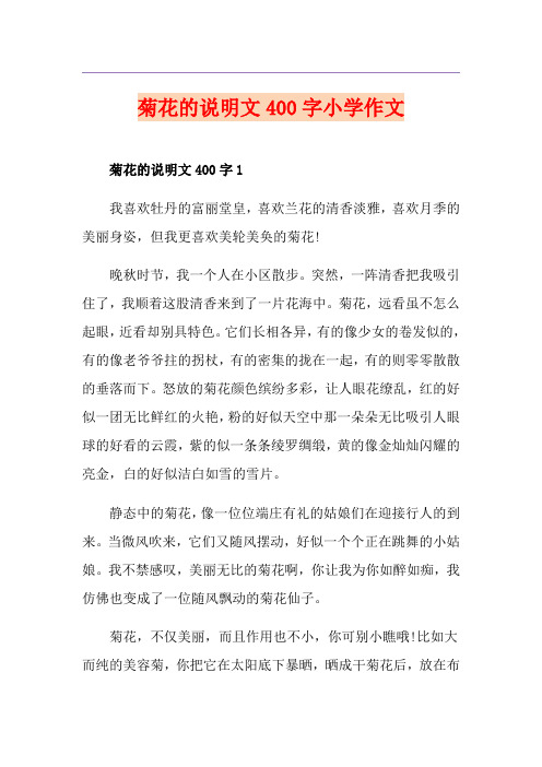 菊花的说明文400字小学作文
