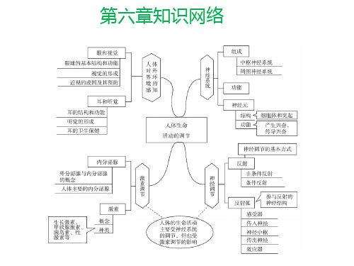 第六章人体生命活动的调节中考题