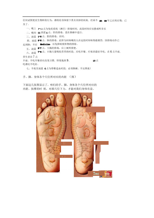 手、脚、身体各个穴位所对应的内脏