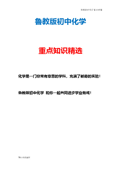 鲁教版初中化学五四制八年级全册《3第3节 物质组成的表示》教案 (3)