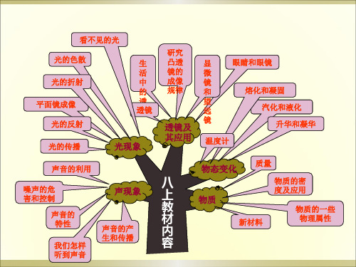 八年级上册物理知识树