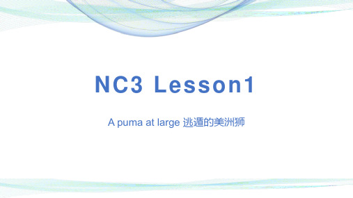 NC3 Lesson1 新概念3 