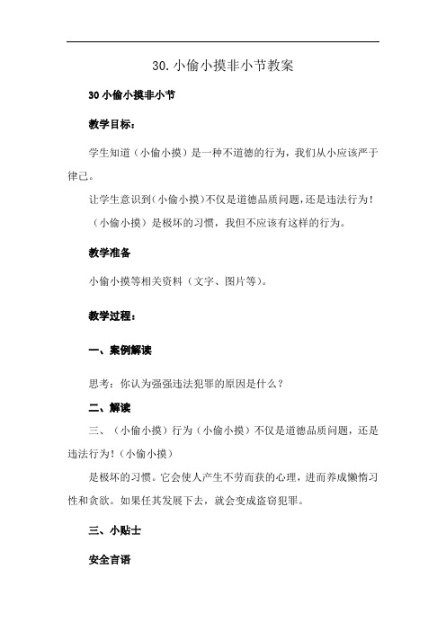 30.小偷小摸非小节教案