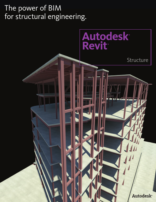 Autodesk Revit Structure软件使用说明书