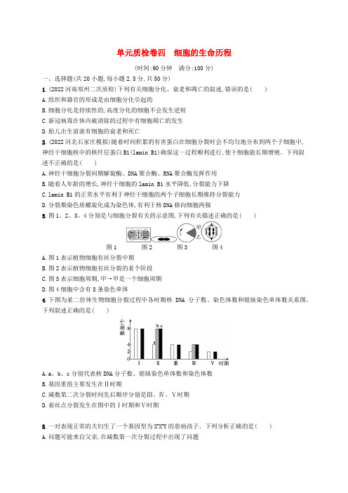 适用于老高考旧教材2024版高考生物一轮总复习第四单元细胞的生命历程单元质检卷四细胞的生命历程新人教