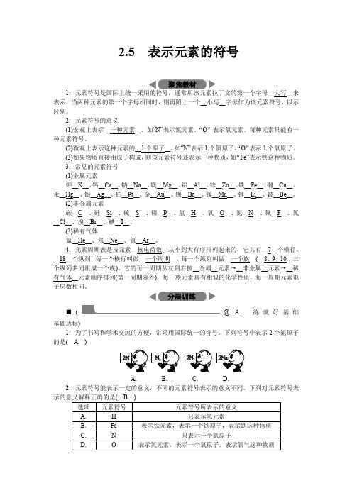 2.5 表示元素的符号公开课试卷教案教学设计课件