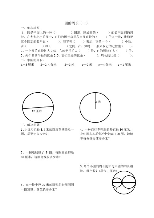 六年级数学圆的周长和面积练习题