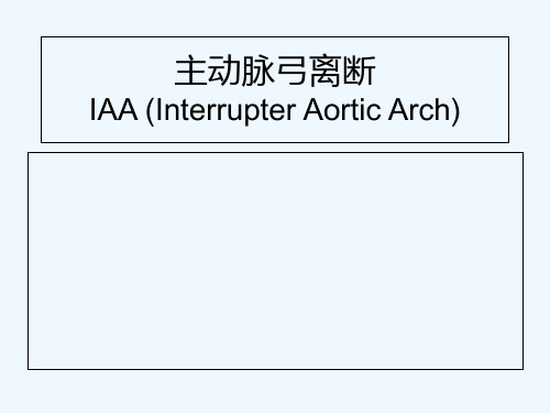 主动脉弓畸形 PPT