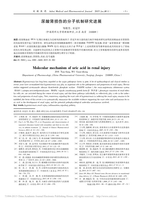 尿酸肾损伤的分子机制研究进展_邹筱芳