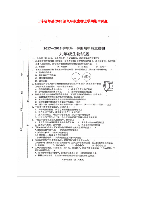 山东省单县2018届九年级生物上学期期中试题(扫描版)