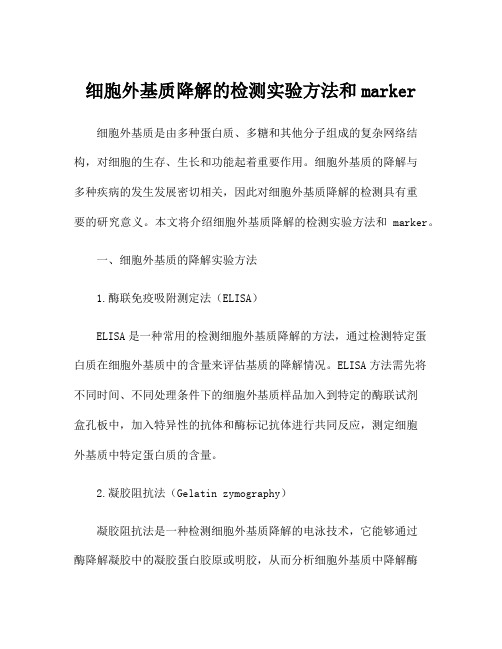 细胞外基质降解的检测实验方法和marker