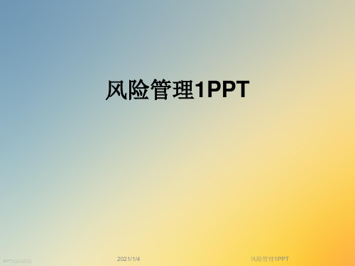 风险管理1PPT