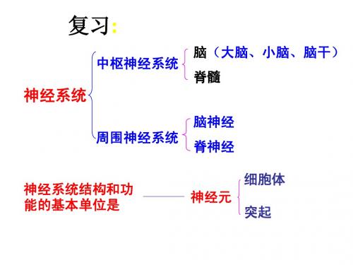 神经调节的基本方式