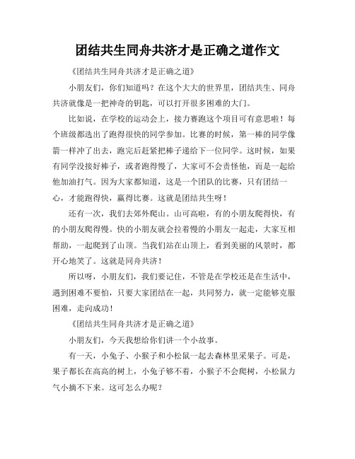 团结共生同舟共济才是正确之道作文