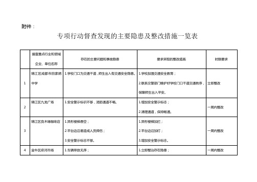 专项行动督查发现的主要隐患及整改措施一览表