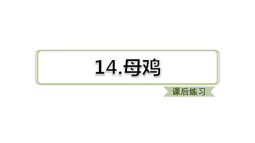 四年级下册语文习题课件 第14课 母鸡习题(课后练习) 部编版