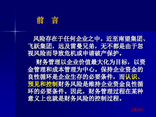 财务风险控制ppt34张课件