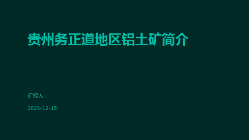 贵州务正道地区铝土矿简介