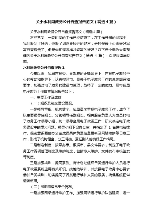 关于水利局政务公开自查报告范文（精选4篇）