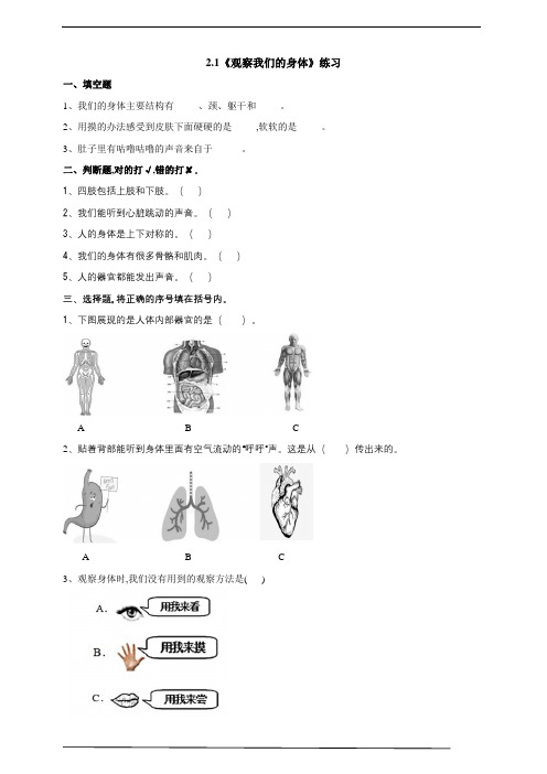 教科版二年级科学下册《观察我们的身体》练习(含答案)