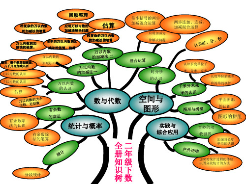 二年级数学下册知识树网络