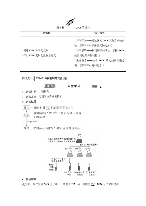 新人教版必修2DNA的复制教案