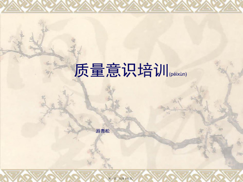 质量意识培训(PPT 46页)(精品PPT)