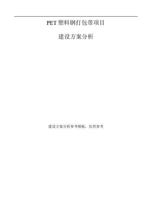 PET塑料钢打包带项目建设方案分析参考模板.docx