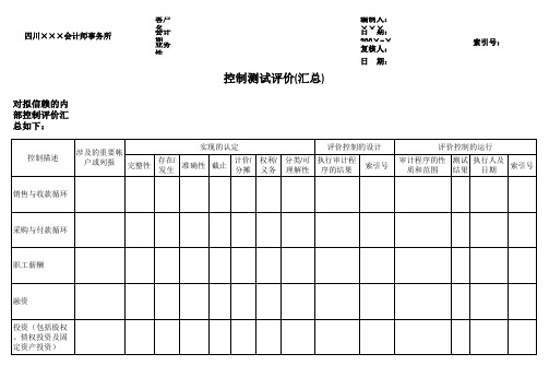 内部控制的评价结果表(xls 页)