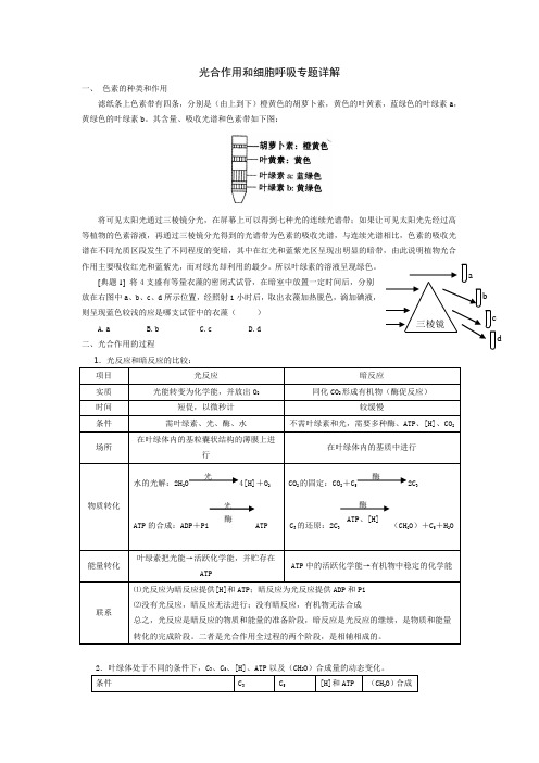 光合作用和细胞呼吸详解