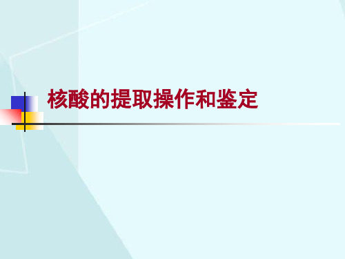 核酸的提取操作和鉴定