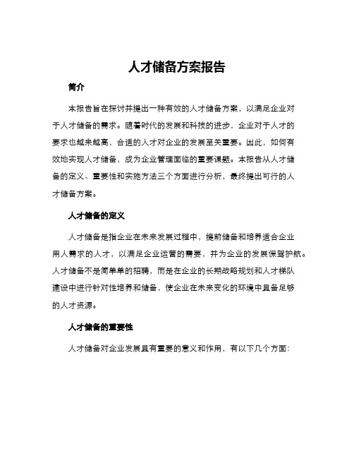 人才储备方案报告