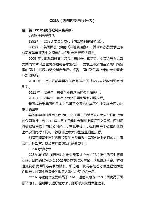 CCSA（内部控制自我评估）