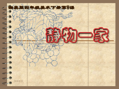 新湘教版四年级下册第8课静物一家优秀课件