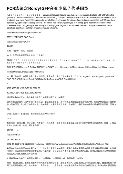 PCR法鉴定RorcγtGFP突变小鼠子代基因型