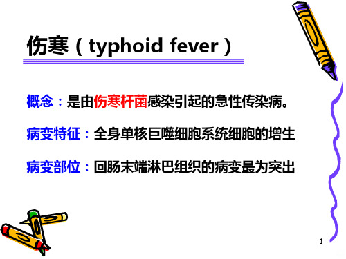 伤寒、细菌性痢疾PPT课件